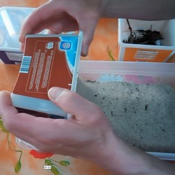Aussaat-anzuchterde-sand-beigeben